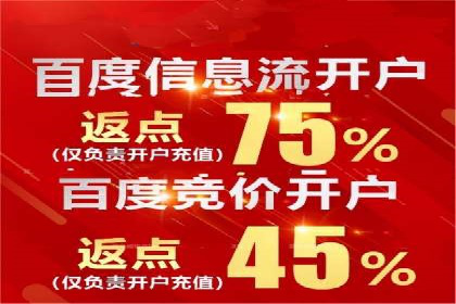 竞价广告赚钱案例：从新手到专家